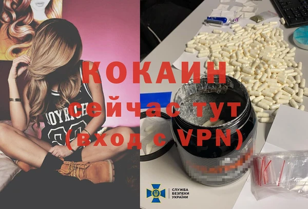 ешки Новозыбков
