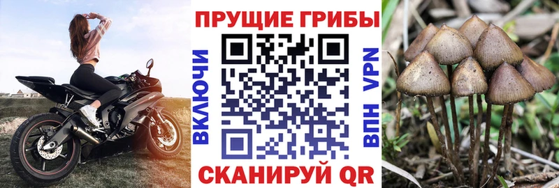 Псилоцибиновые грибы ЛСД  Плавск 
